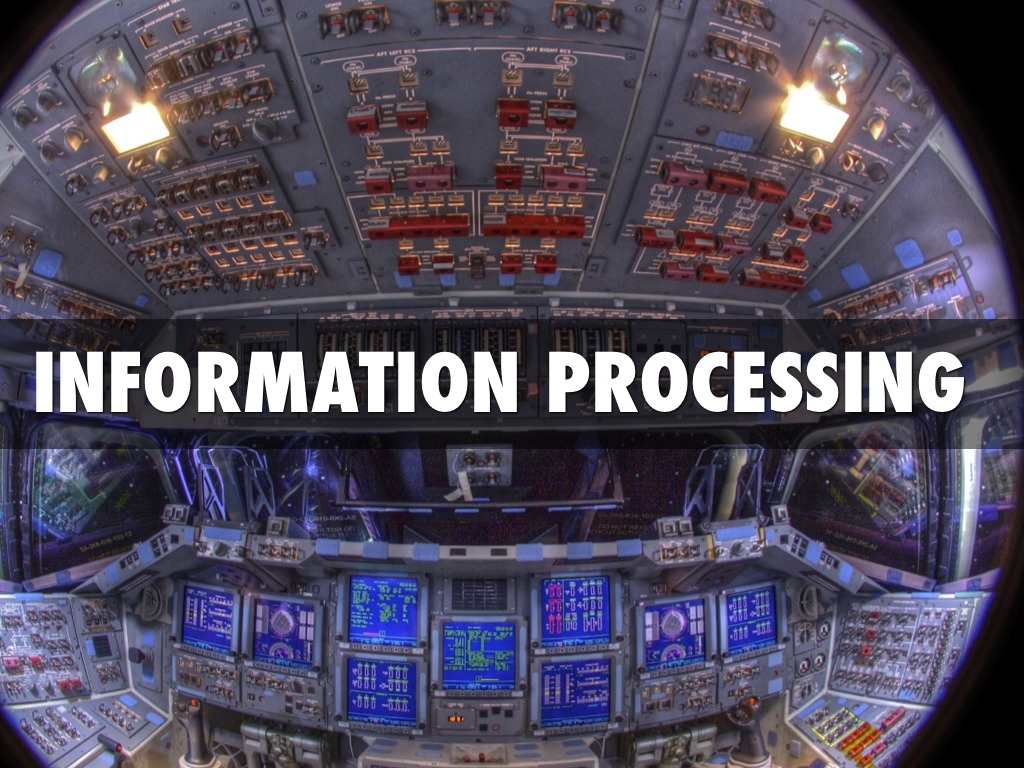 Information Processing 