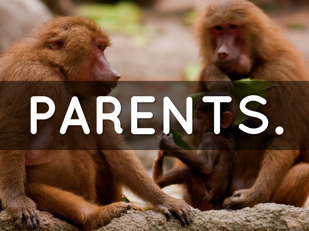 Parents.