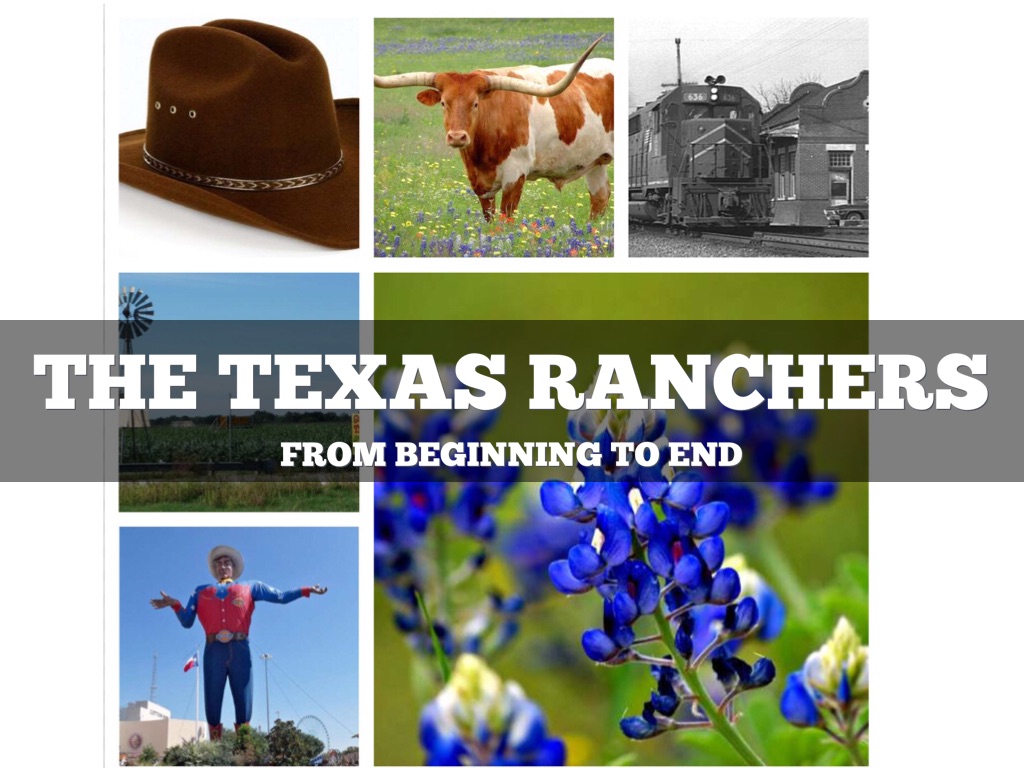 The Texas Ranchers