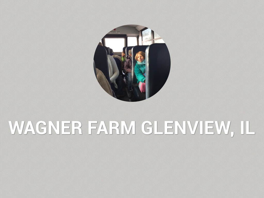 We Love Field Trips!