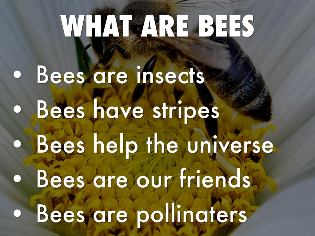 !Bees! by Room18 Eighteen