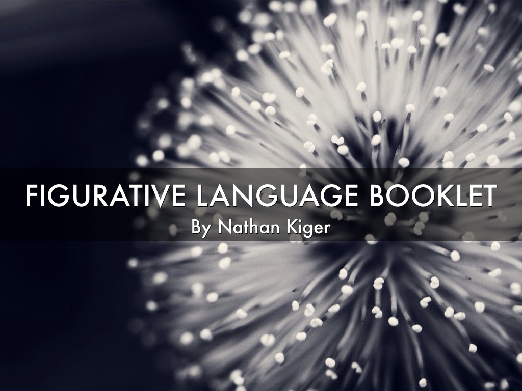 Figurative Language Booklet by Nathan Kiger