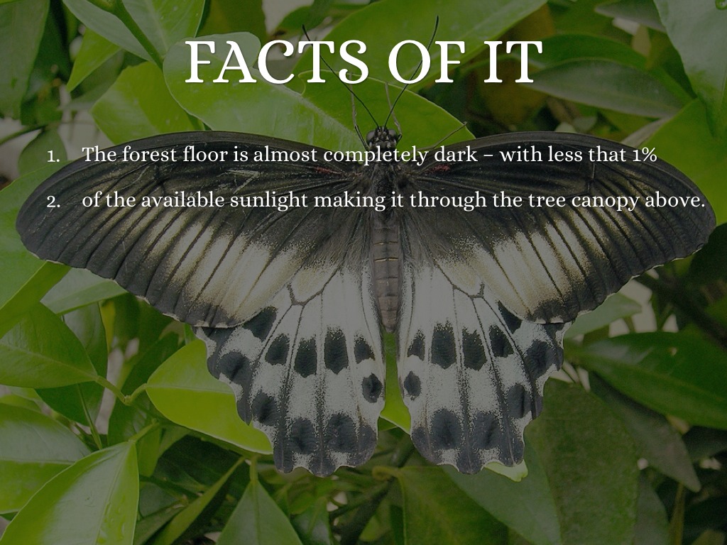 Geography by jayla.white