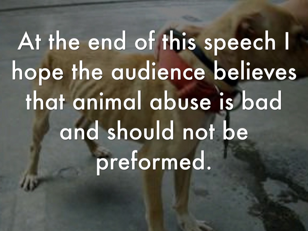 stop animal abuse speech