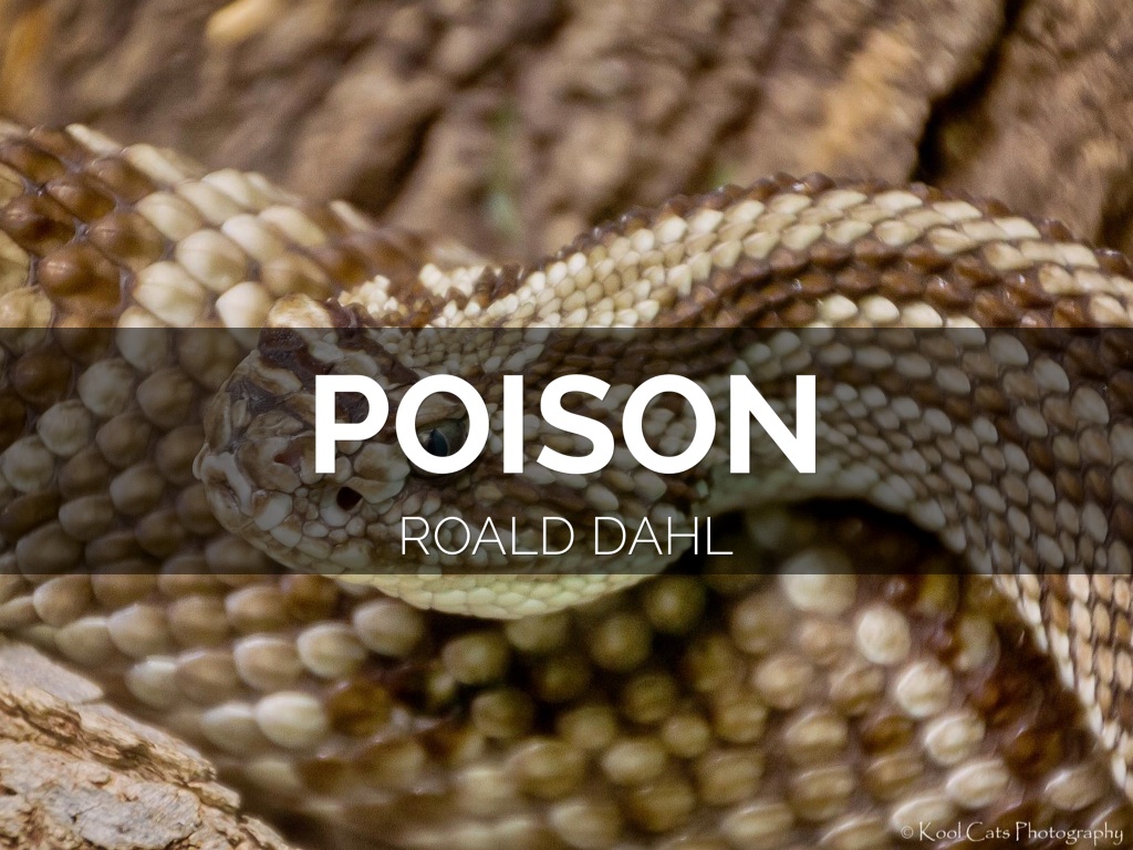 Poison by Roald Dahl