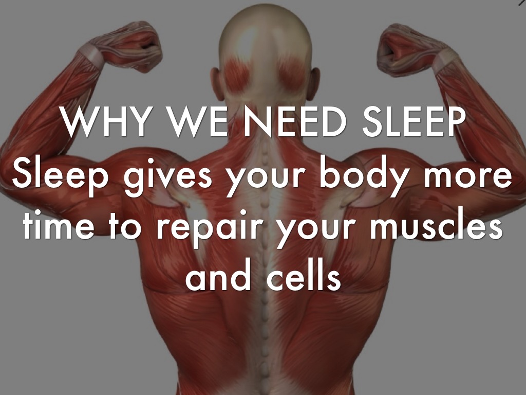 Why Do We Sleep by Katie Barnwell