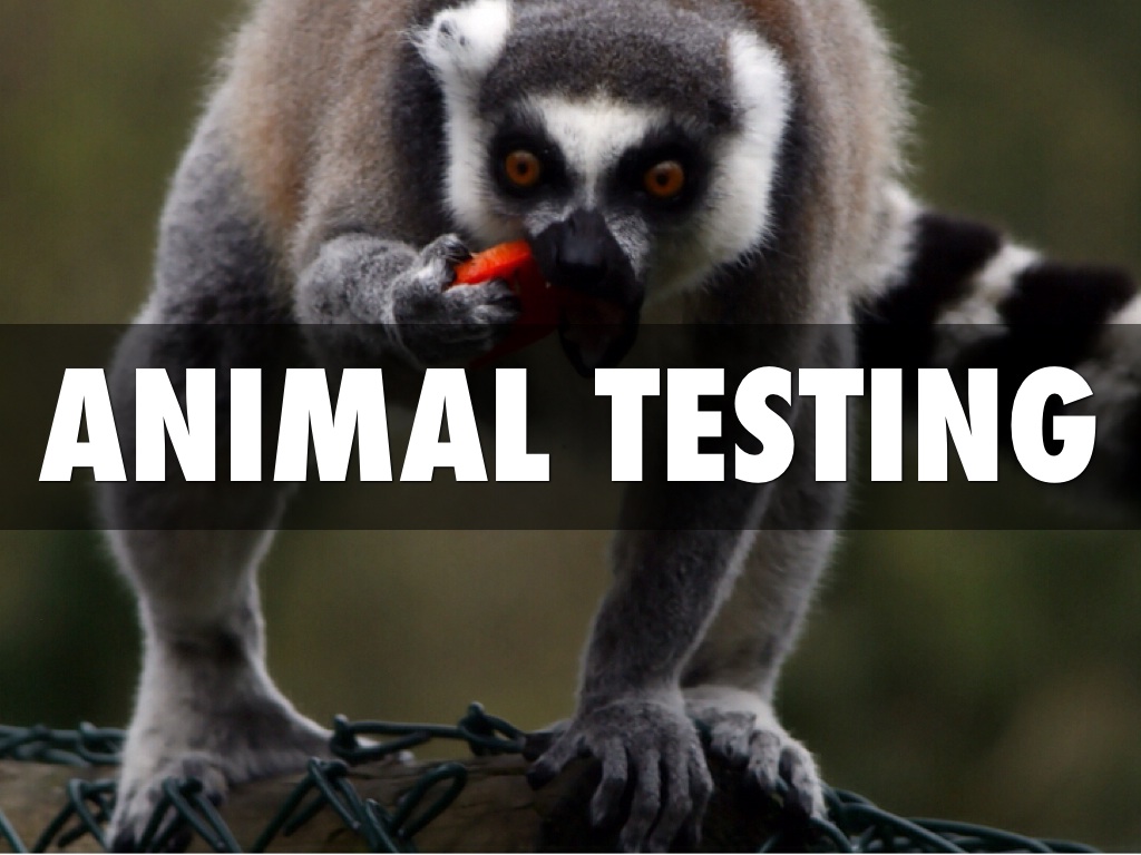 animal testing