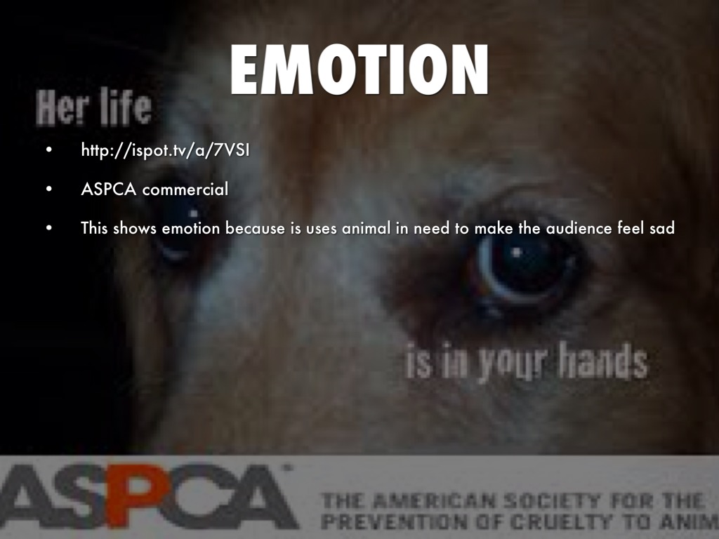 Sports Marketing Kevin Gray