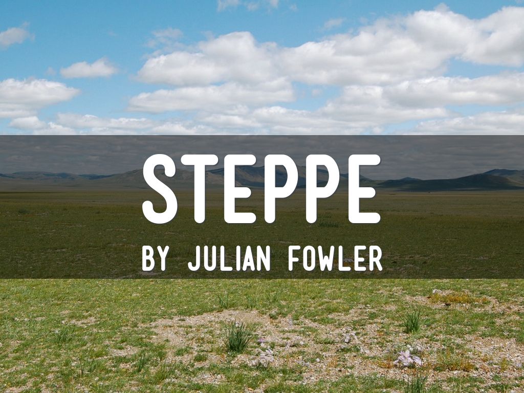 Steppe