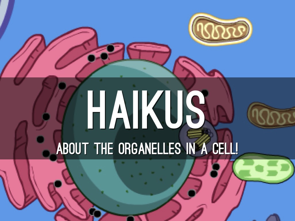 3_FloresTahlia_InsideCells_HaikuDeck