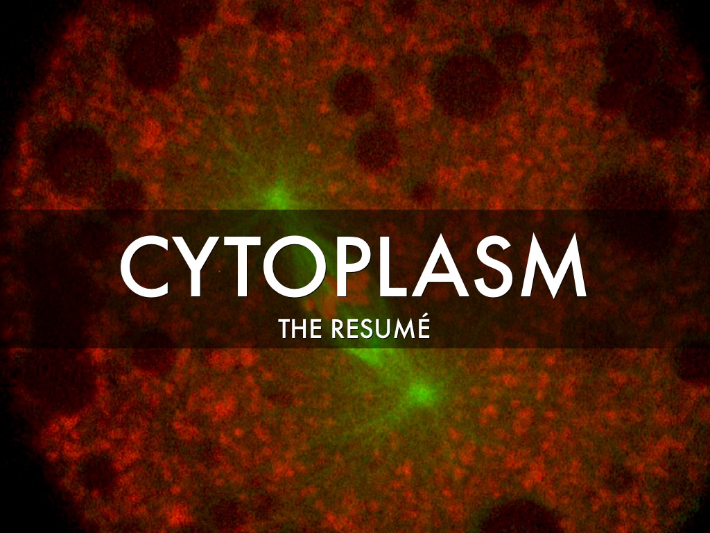 Cytoplasm