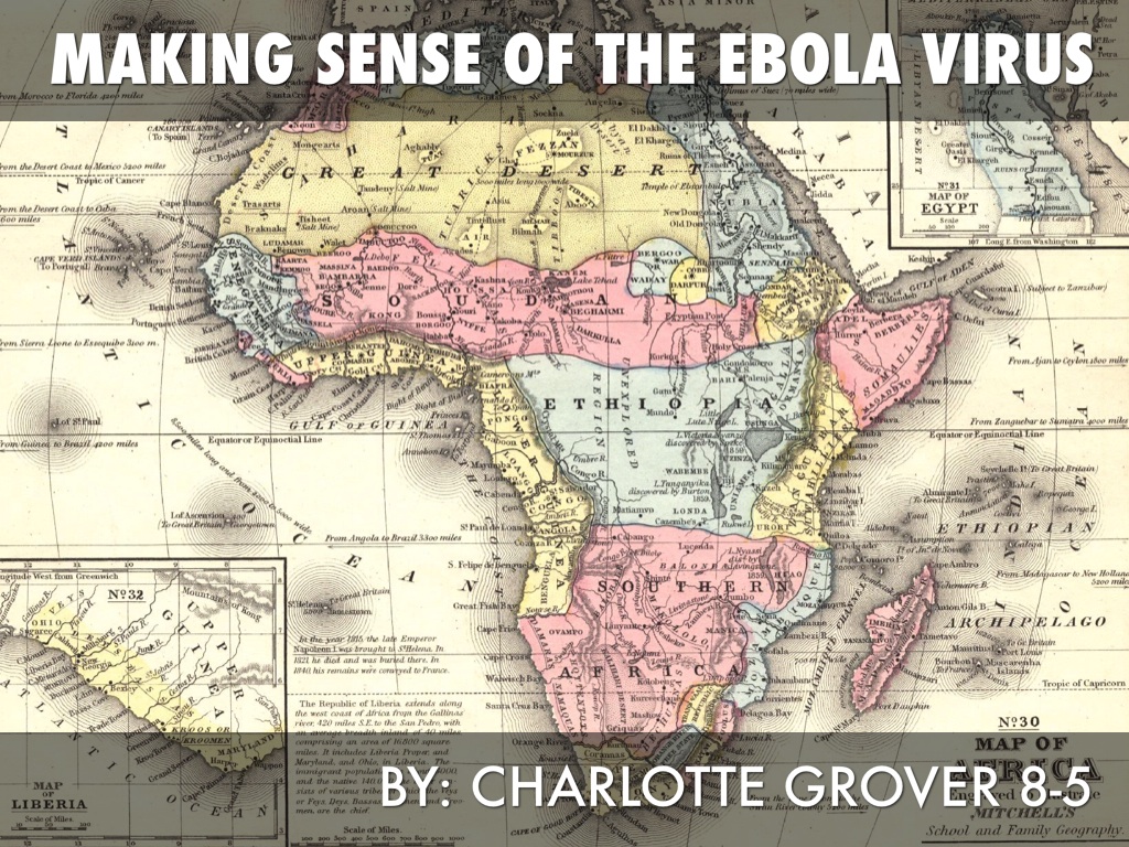 Science Article Presentation