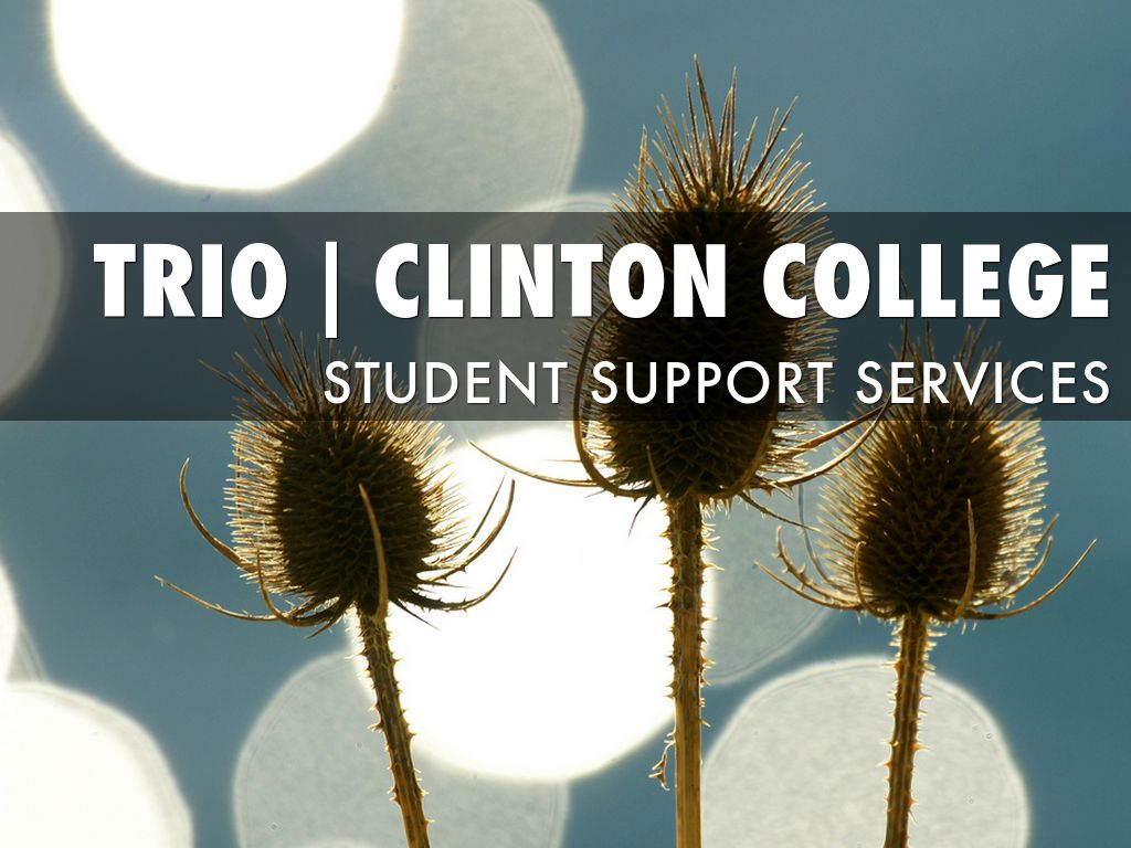 Monitor Your Progress