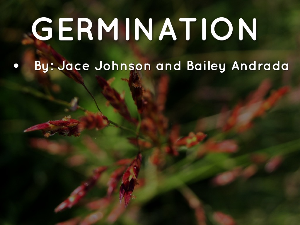 Germination