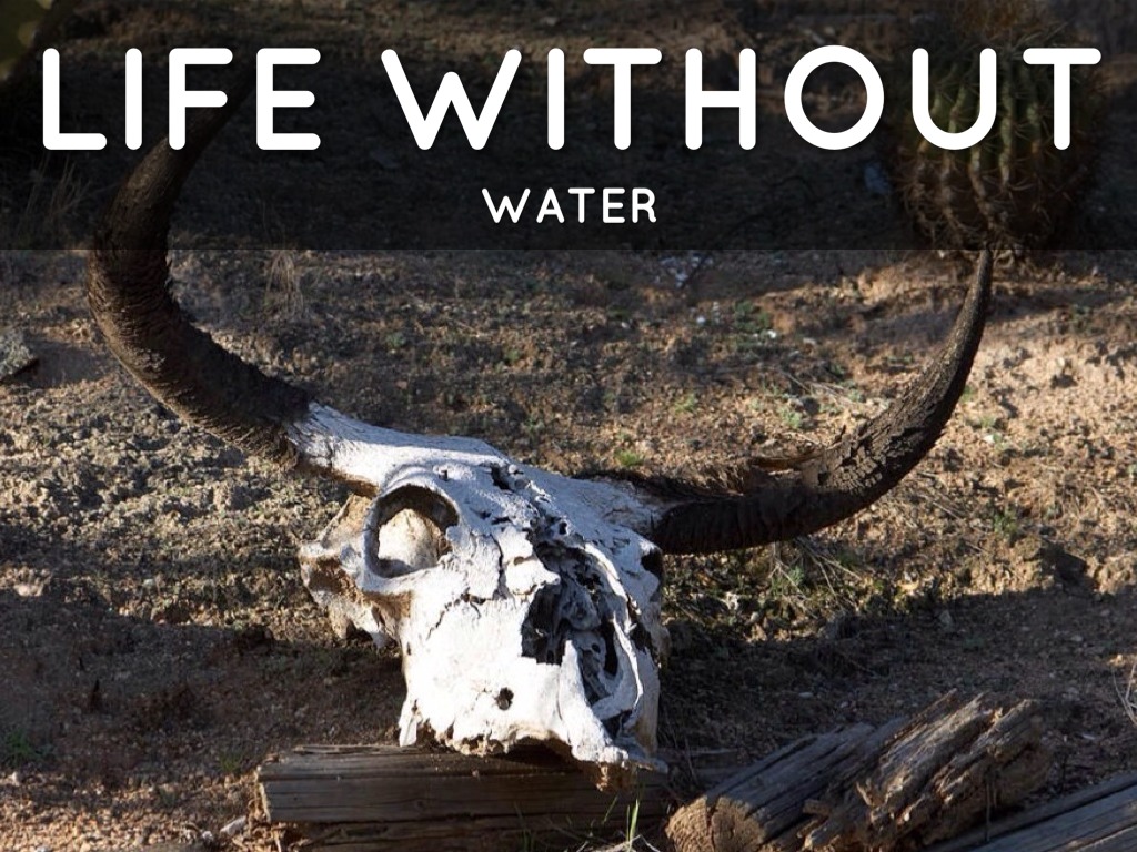 Life Without Water