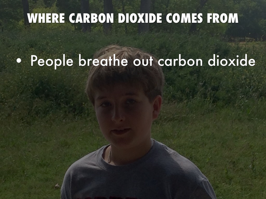 Science by David Gray