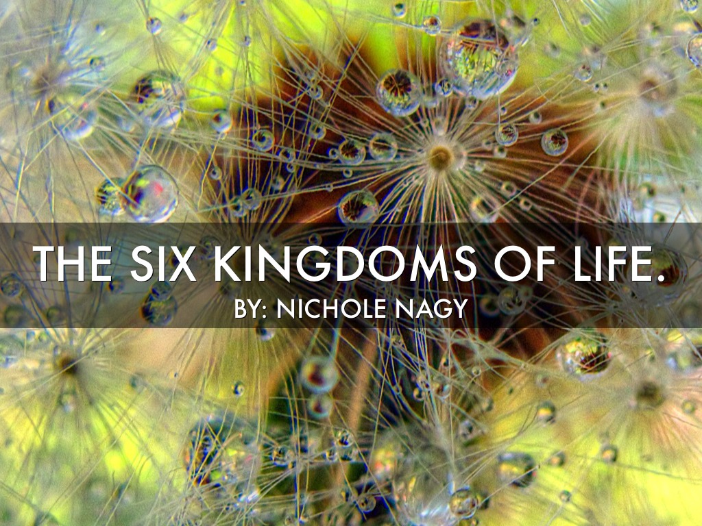 Six Kingdoms Of Life