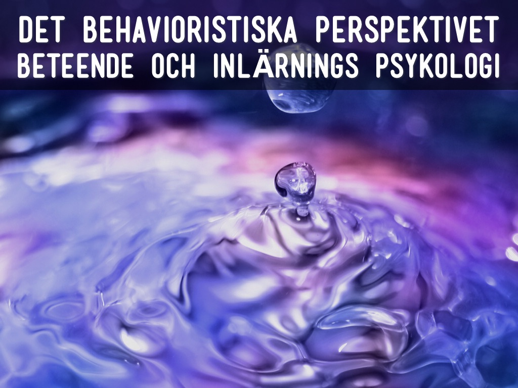 Grupparbete Mikaela Och Katrina