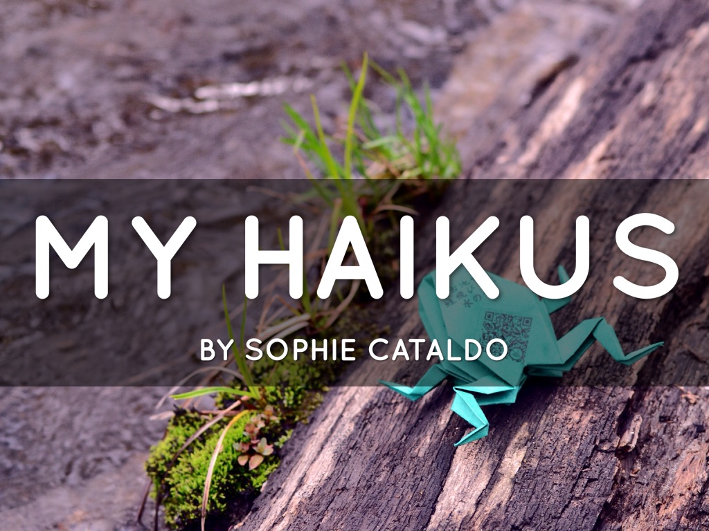 My Haikus