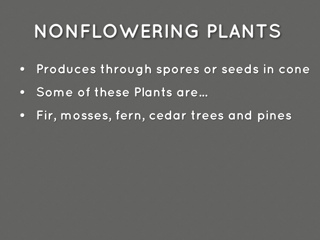 Flowering And Nonflowering by Kitty Tripp