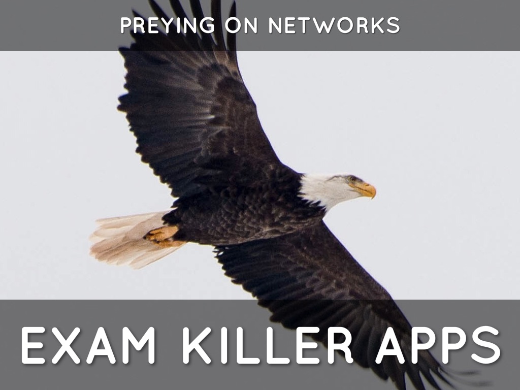 Assessments killing networks