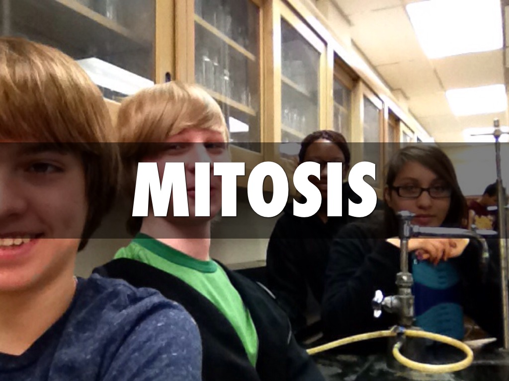 Mitosis By Lundy Ryan Katie And Tyler