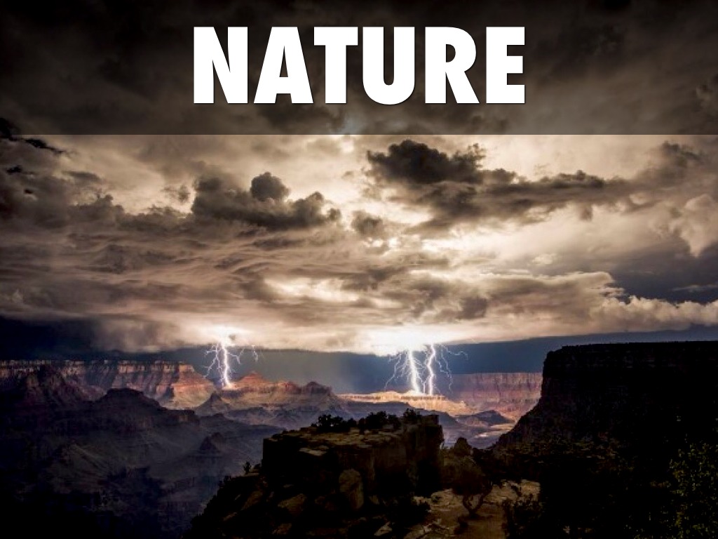 Week In Pictures Table 3