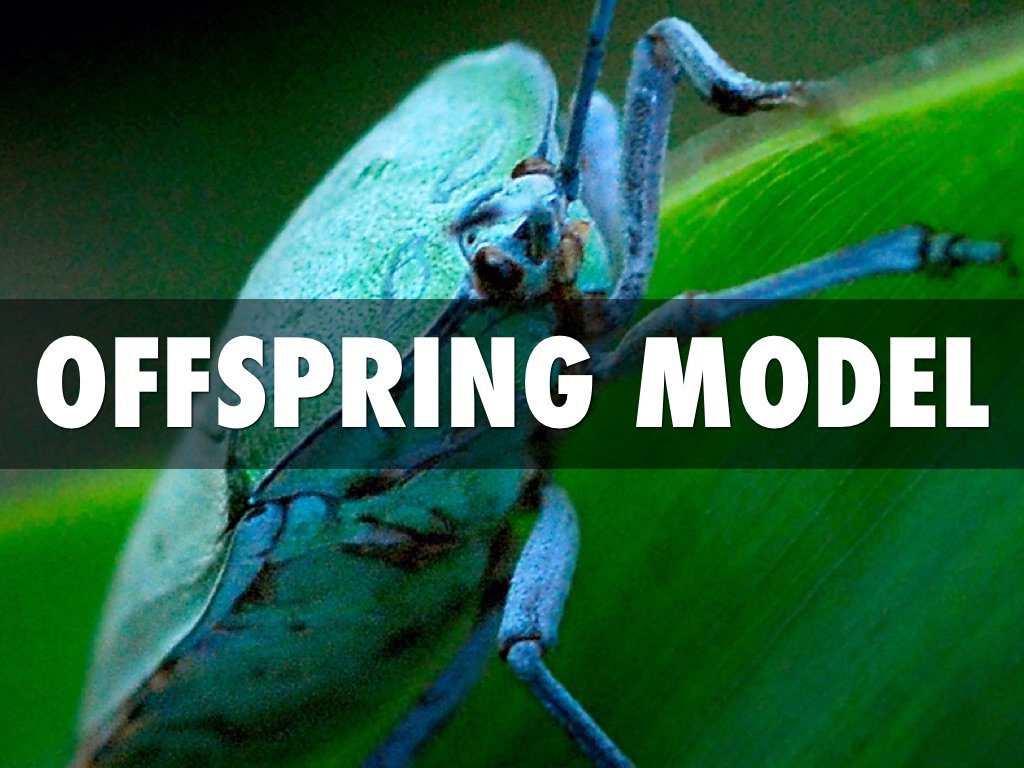 Offspring Model