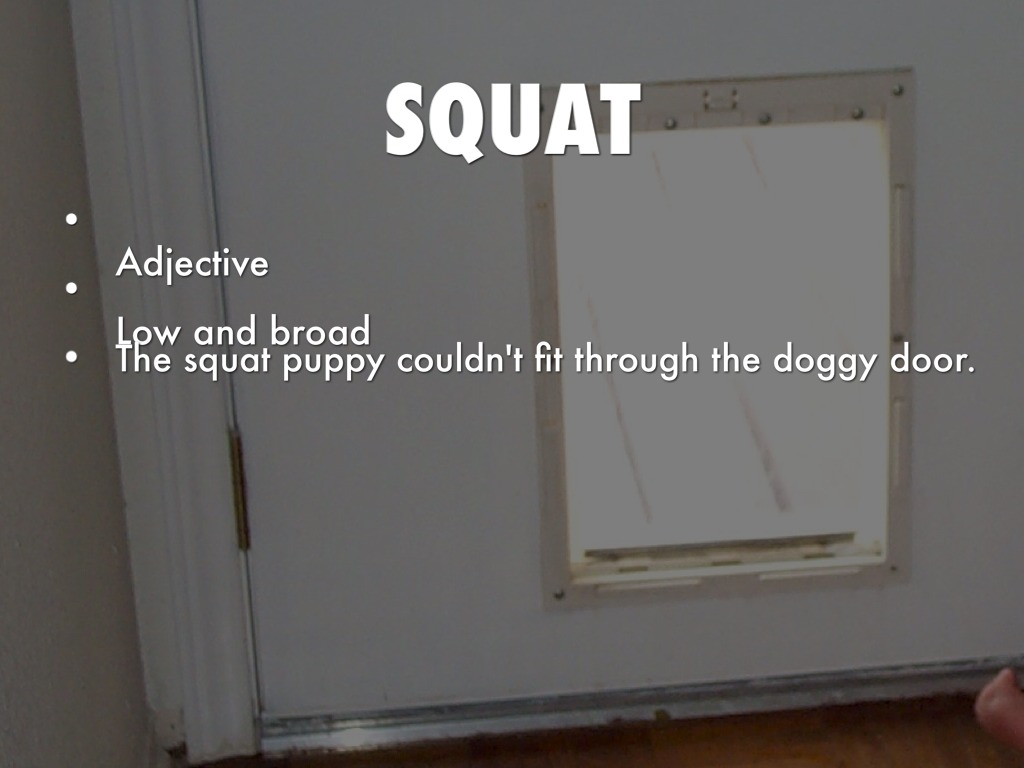 The Giver Vocabulary