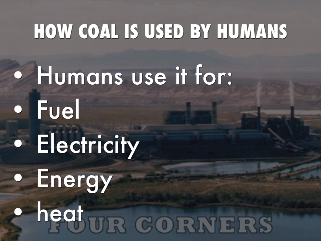 Coal by Taylor Hickman