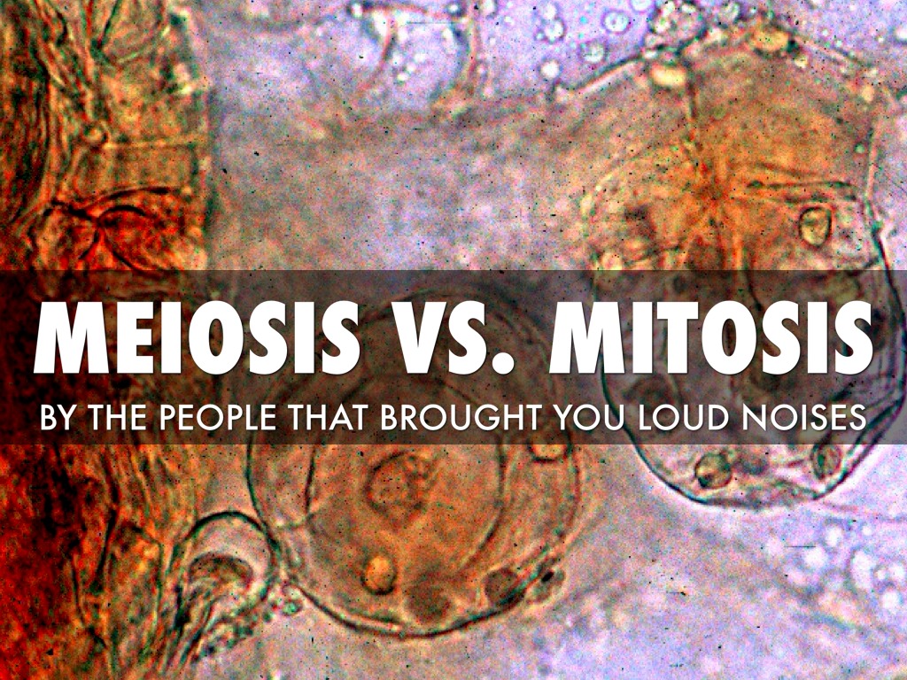 What's The Difference?