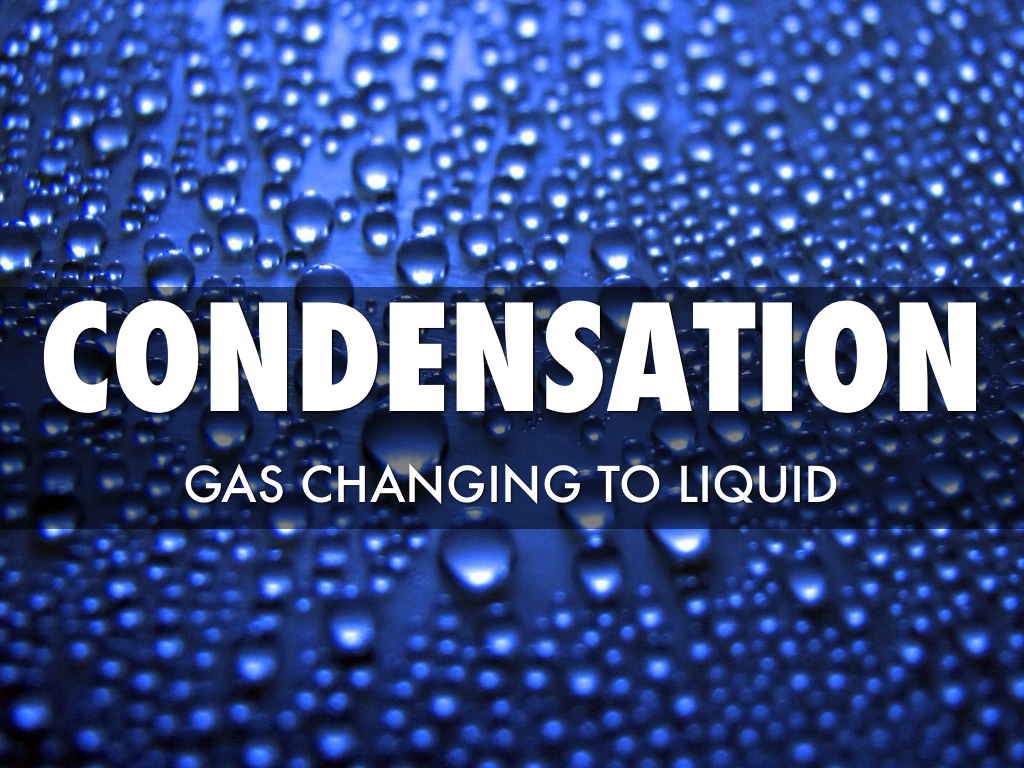 Science Review Taxonomy by Emma Buttress