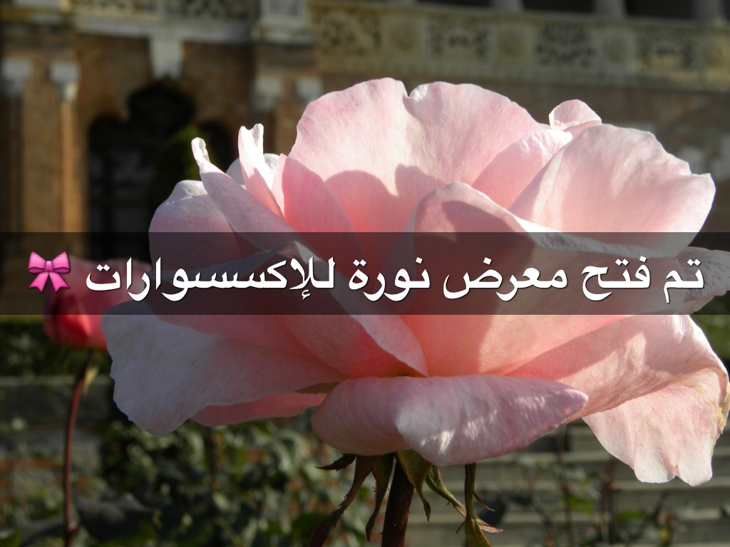 الإكسسوارات