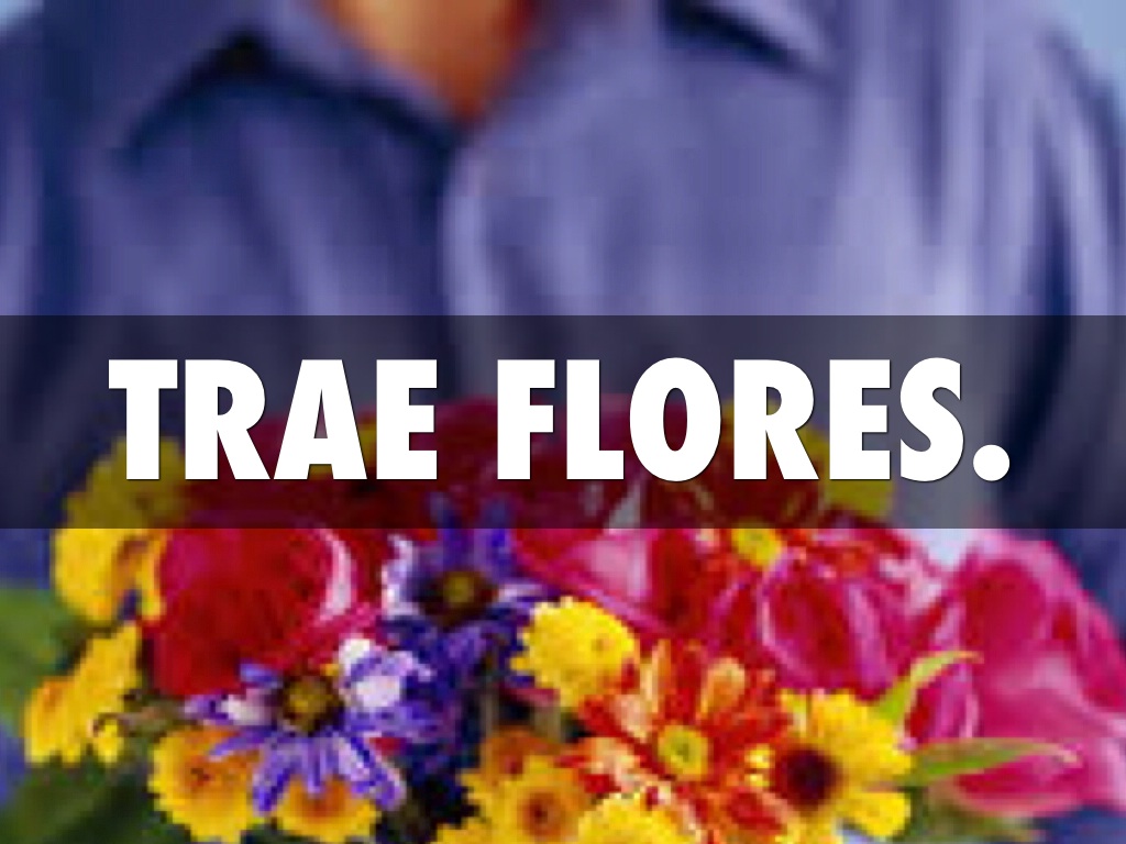 Cómo Conseguir A Un Novio/ Una Novia