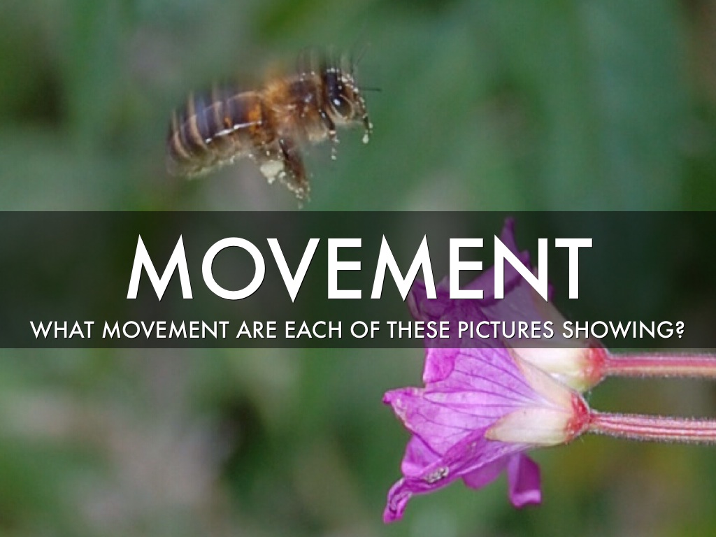 Movement