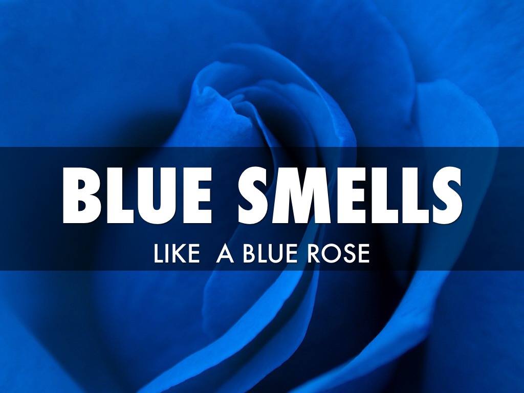 Blue By Seri by Carolyn Teichner