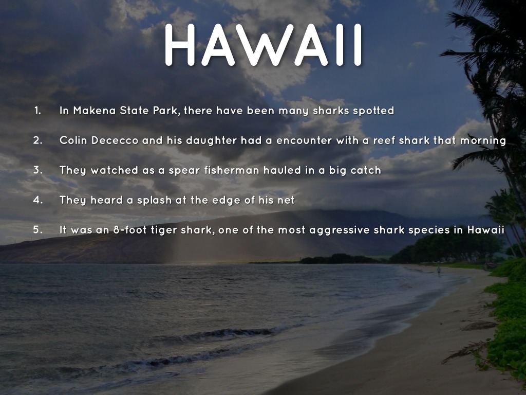 Surge in shark attacks causes alarm in Hawaii