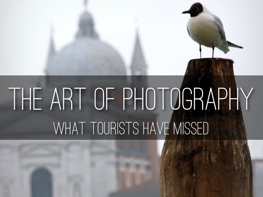 The Art Of Photography