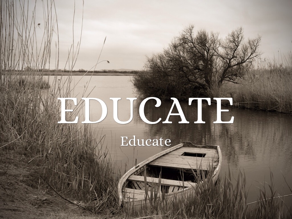 Case study geriatric assessment image