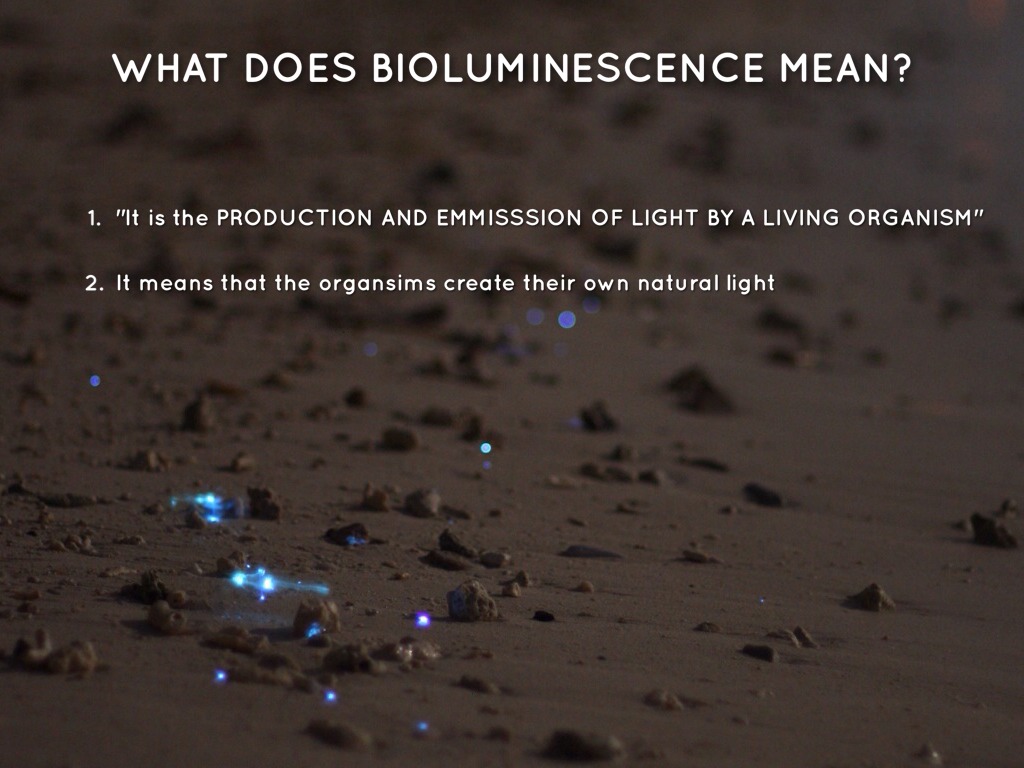 Bioluminescence by D J