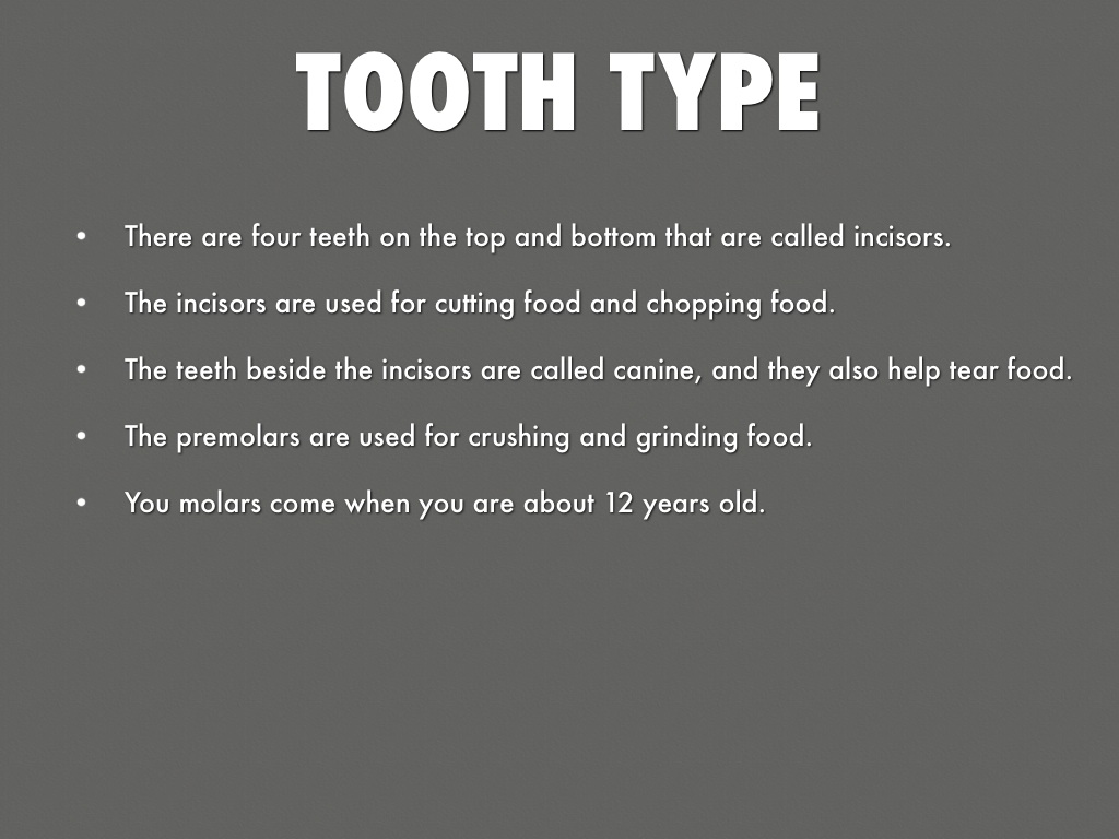 Teeth by Courtney DeWeese