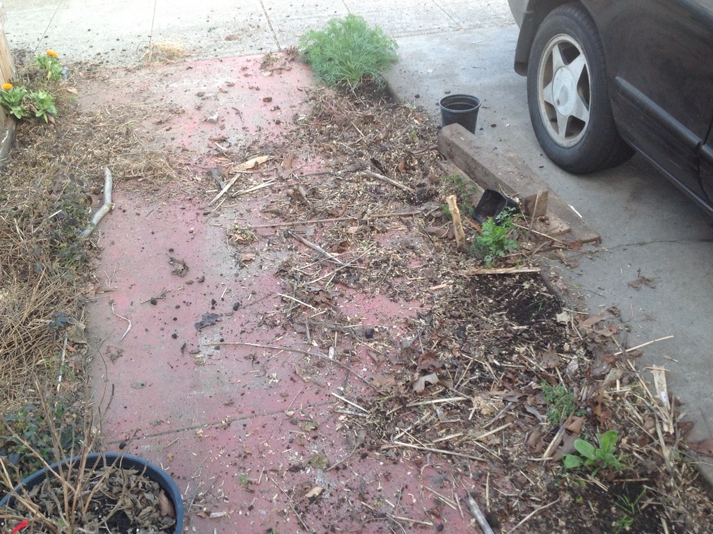 Chicken&Garden Damage by Melissa McClure