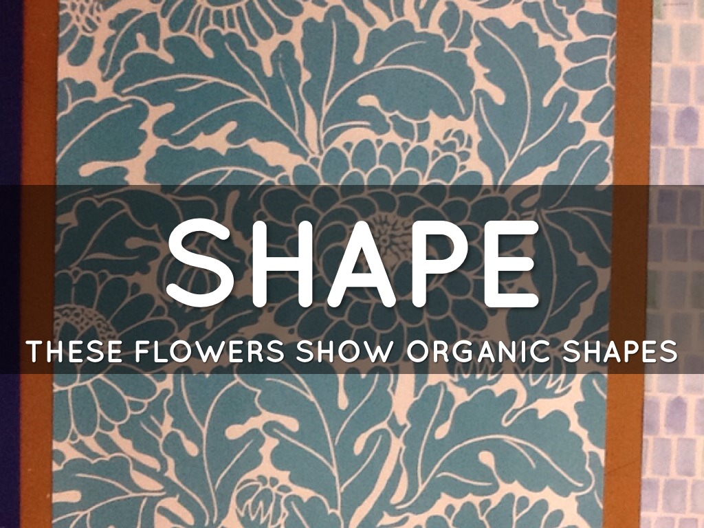 Line, Pattern, Shape