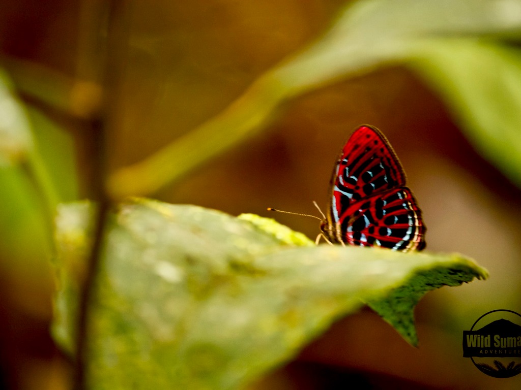 Unleash your Change Potential