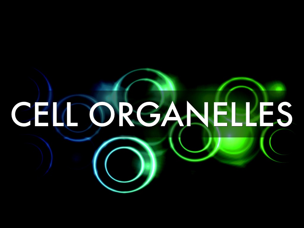 Cell Organelle Project