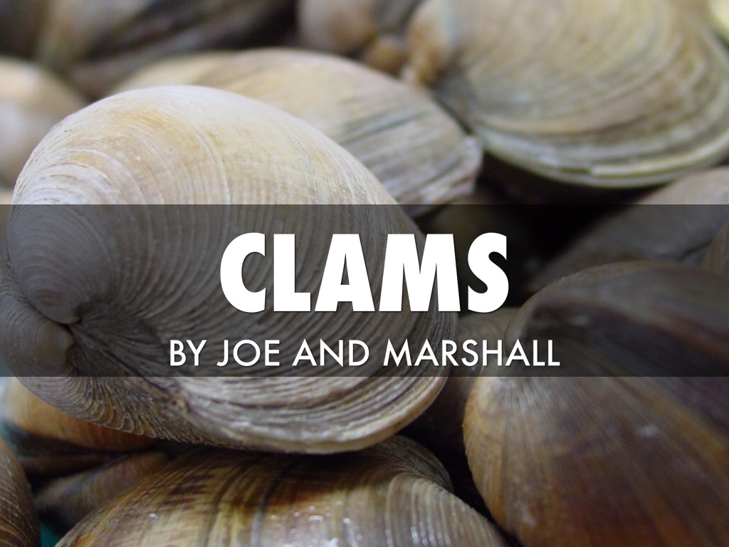 Clams