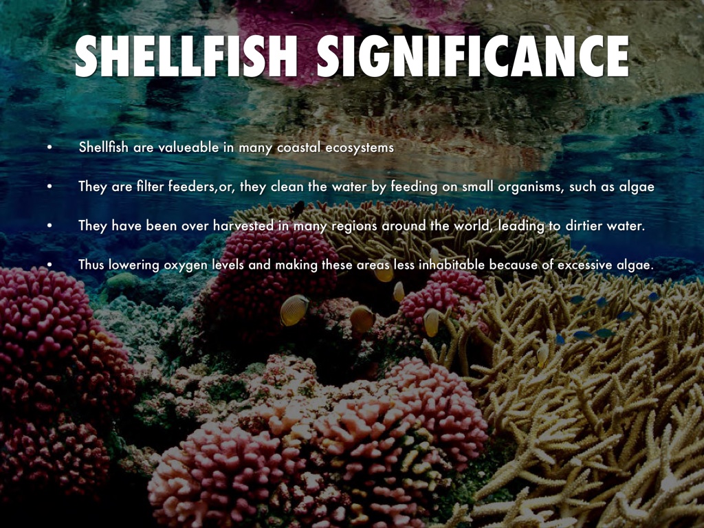 Case study on environmental pollution image