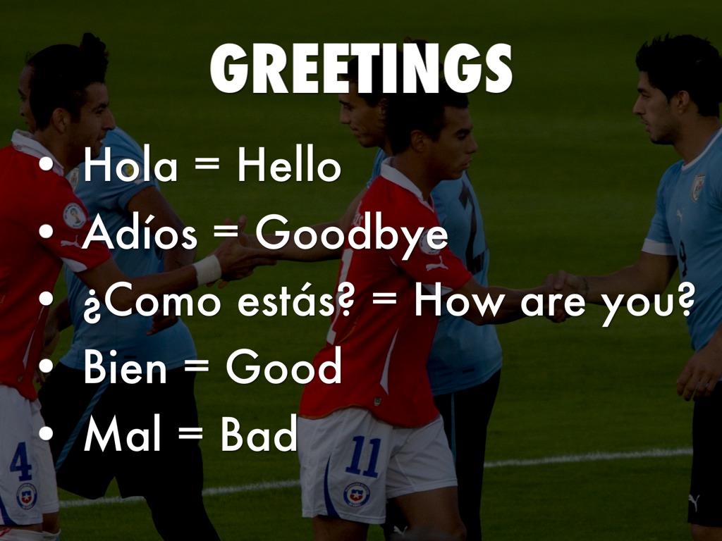 Spanish Flip Chart by cej6592