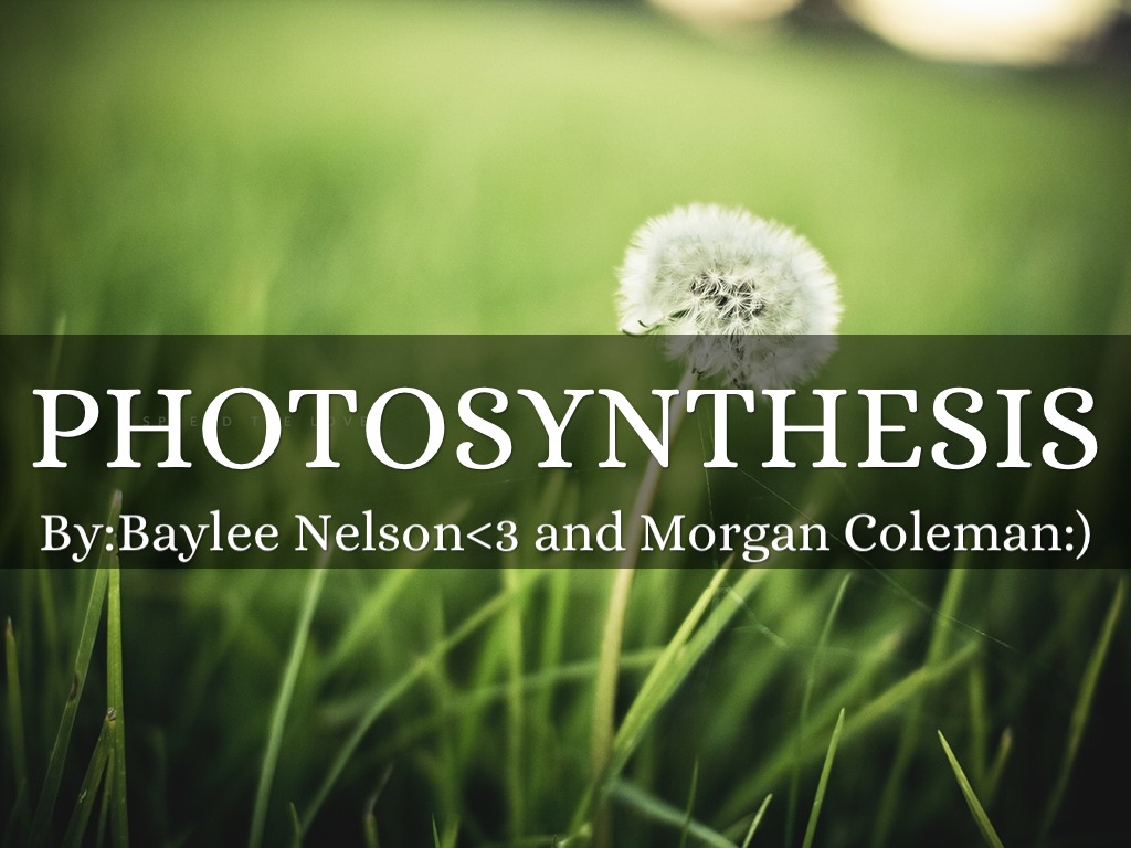 Photosynthesis<3