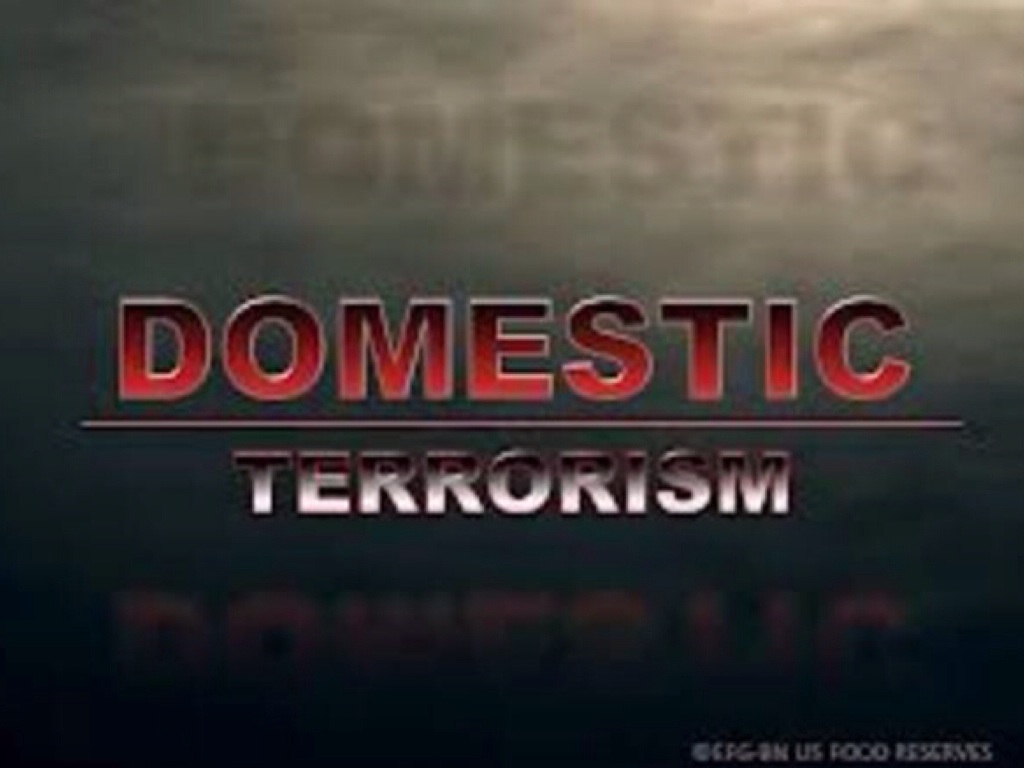 Domestic Terrorism 